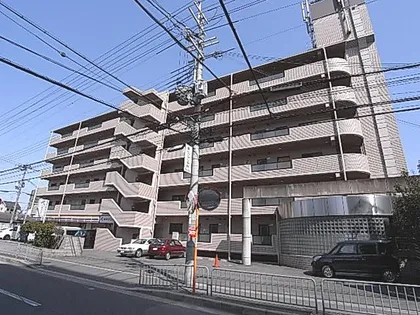 プランドールの画像