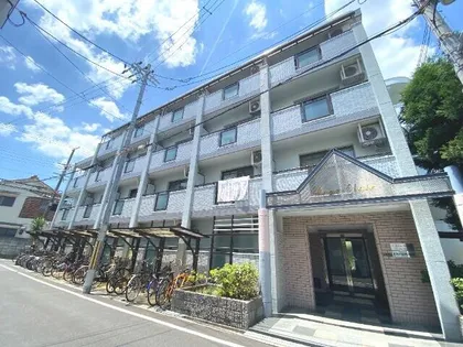 アンジュクレールの画像