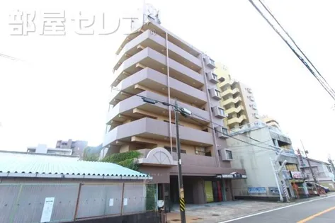アモール高針の画像