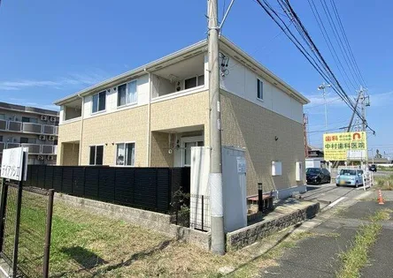 エンジェルステラの画像