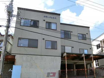 カラーパレスCの画像