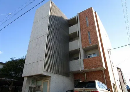 SALTの画像