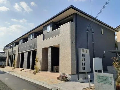 TN CASAIIの画像