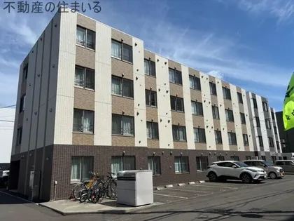 LUANA澄川の画像