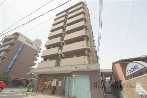 BLOIS CEREZOの画像