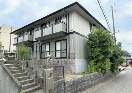 テンハロンベットの画像