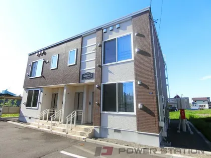 カモミールBの画像