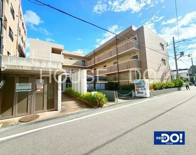 アルデール満寿美の画像