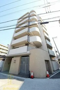 フェビエンローズの画像