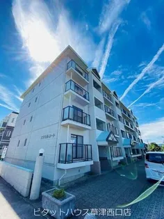 エクセルコートの画像