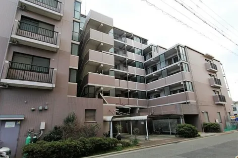 ボシュケ鷹取の画像