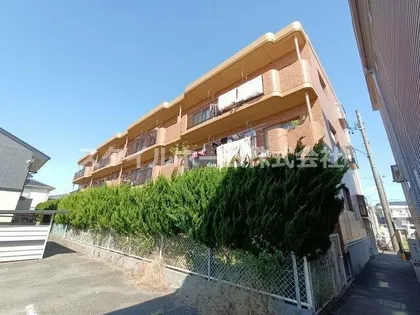 グレースリヴランの画像