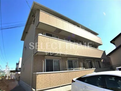 プリーズ錦の画像