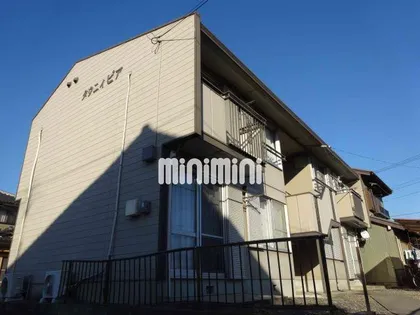 タウニィピアの画像