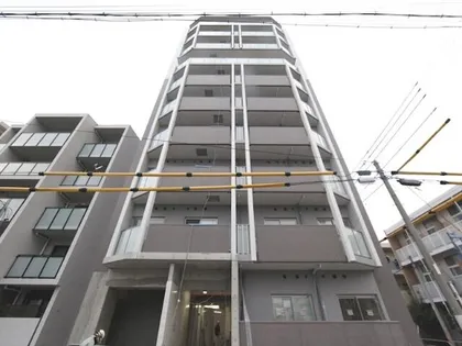 コートバスクの画像