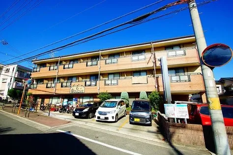 ダイヤ トゥーレの画像