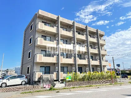 レイスペース小川【1階】の外観