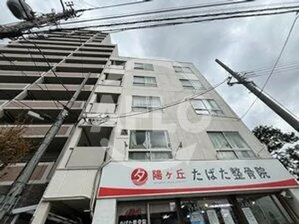 五條ハイツ【2階】の外観