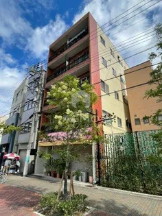 セイワパレス寺山公園【4階】の外観