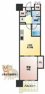 マスターズレジデンス道頓堀Ⅲ【7階】の間取り