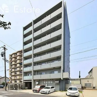 コートシャインの画像