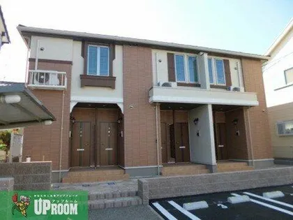 アルカン シェルの画像