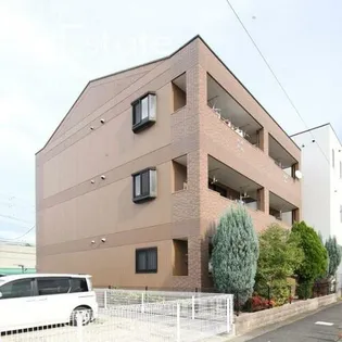 サンプレス市場木の画像