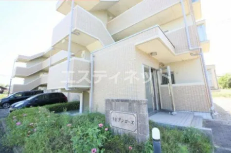 ラビアンローズの画像