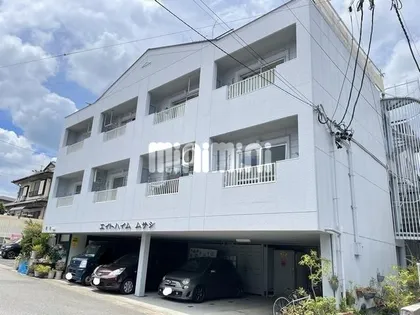 エイトハイムムサシの画像