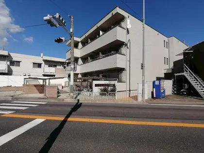 パトラスの画像