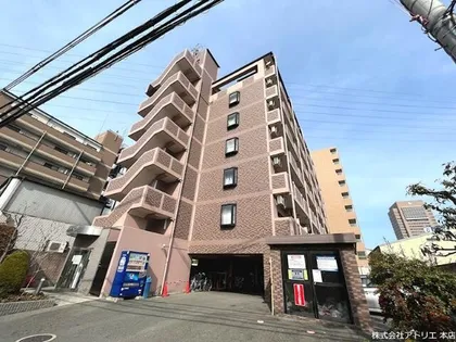 プリムローズの画像