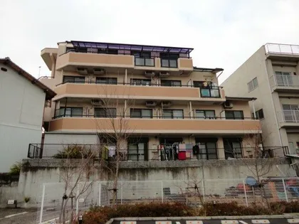 アンピエスぜんの画像