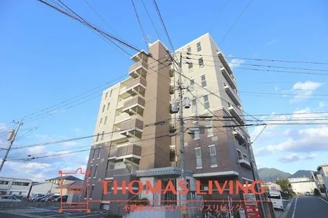 アン レーヴの画像