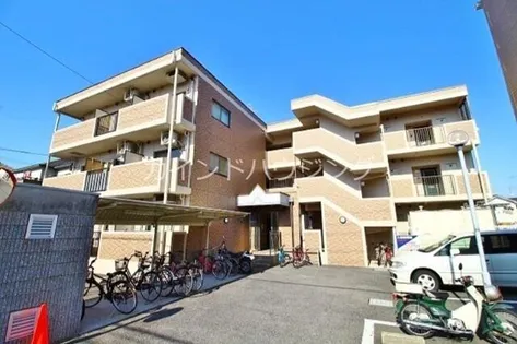 Y M Dチセの画像