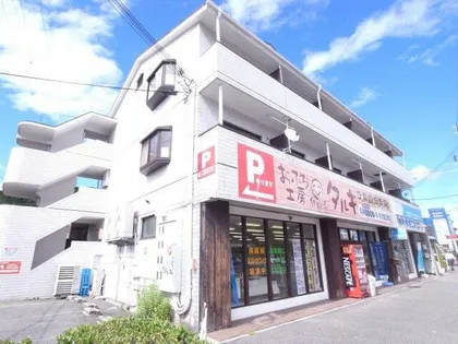 カサ デ エレガンシアの画像