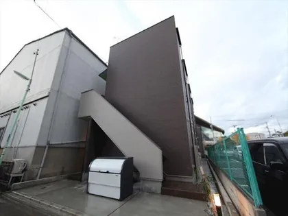 スターライト緑星の画像