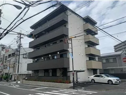 パーシモン中もずの画像