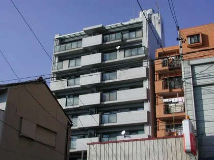 ルピナス法龍の画像