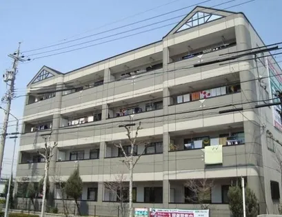 ウェンディAの画像