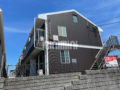 オーラムの画像