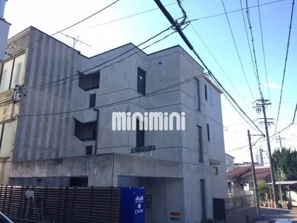 セジューネオオクラの画像