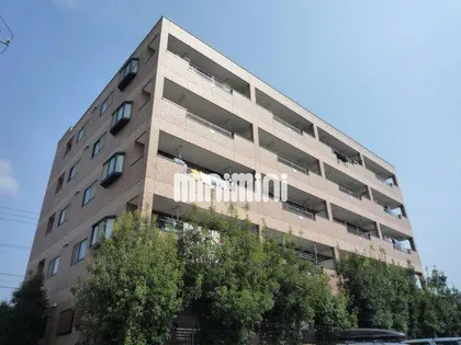 エルシャルマンの画像