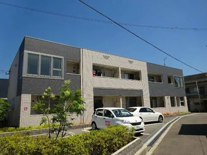 アビタ カモリの画像