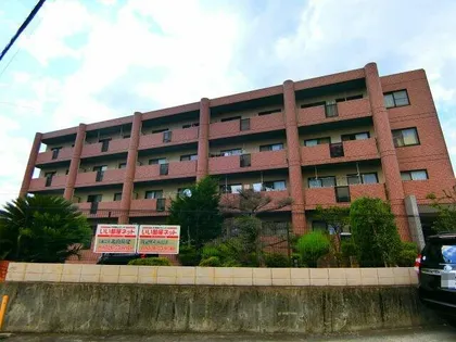 ラ メールIIの画像