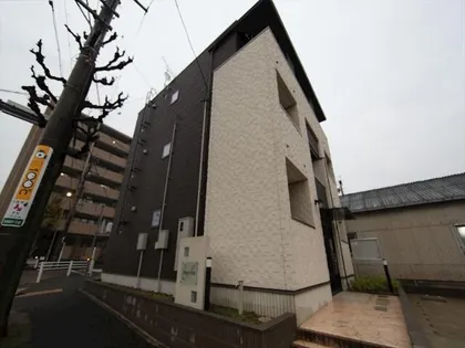 フォレスト フォートの画像