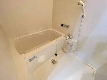 グリーンデルワールド舘【1階】の風呂