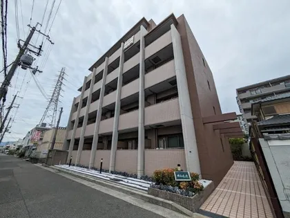 ソレアード アビの画像