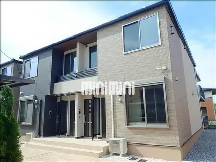 セントポーリアBの画像