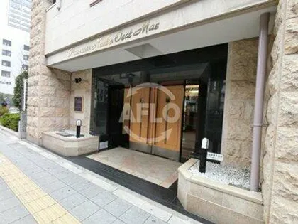 プレサンス難波OCAT前【7階】の玄関