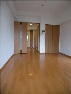 プレサンス難波OCAT前【7階】の居間